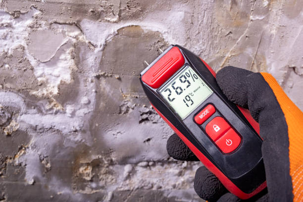 Best Best Mold Removal Companies  in Lincolnwood, IL